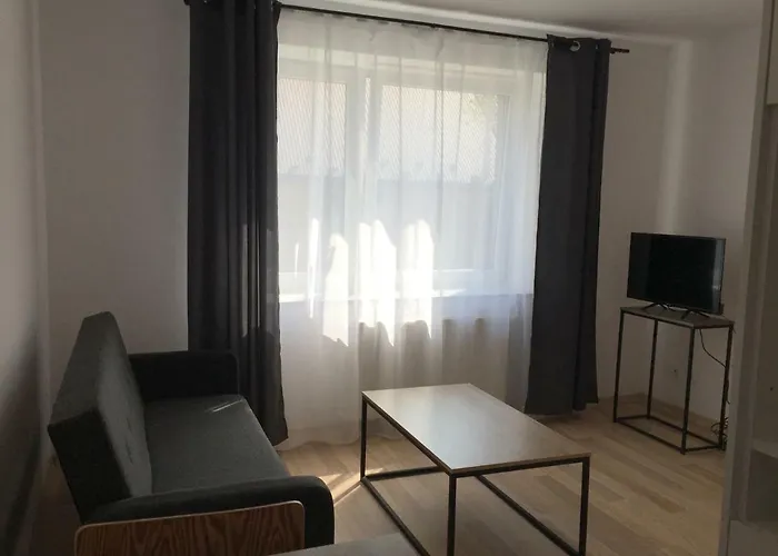 Loft Centrum Apartament
